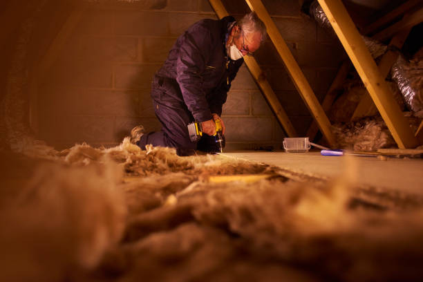 Best Local Insulation Services  in Belle Mead, NJ